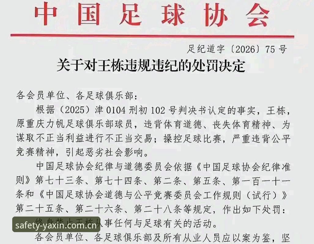 5大关键点解读足协第三批禁足名单：65名从业者遭重罚，亚新体育平台深度分析